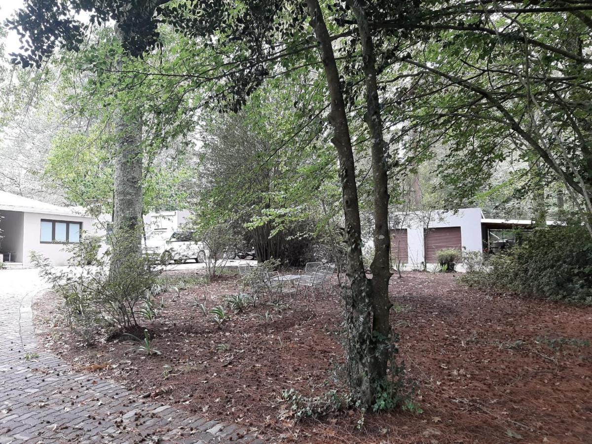 Camroshell Hotell Hogsback Eksteriør bilde