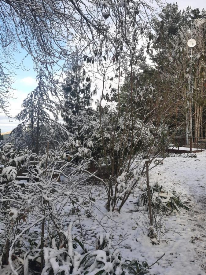 Camroshell Hotell Hogsback Eksteriør bilde